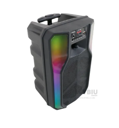 PARLANTE 8 PULGADAS CON LUCES RGB