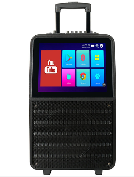 PARLANTE CON PANTALLA Y MICROFONO